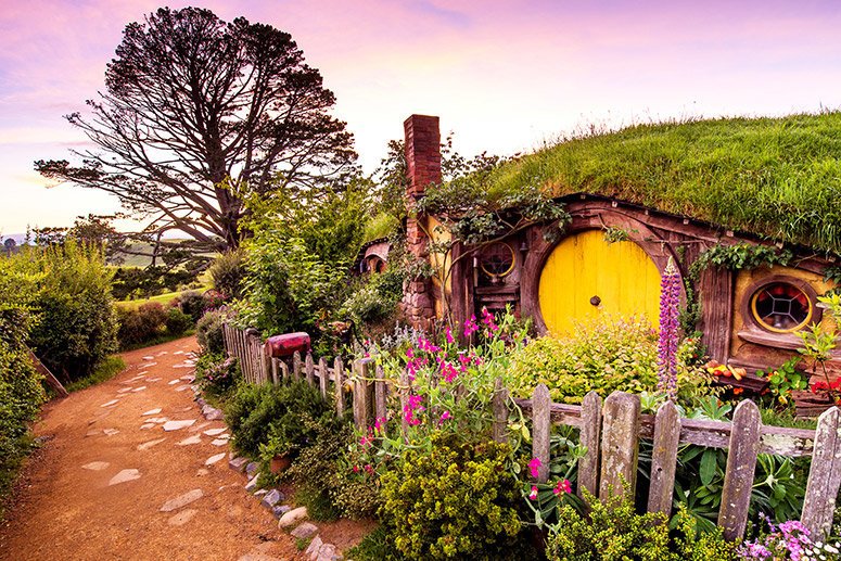 Hobbiton Movie Set Tour